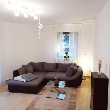 Ebenerdige Ferienwohnung Mit Grosser Terrasse In Der Naehe Des Waldes, Zum Wohlfuehlen Schoneck Esterno foto